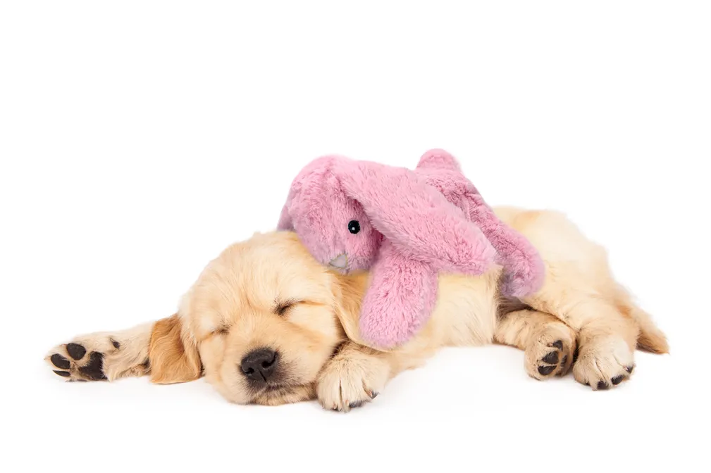 Cozy Dog Bunny Pink