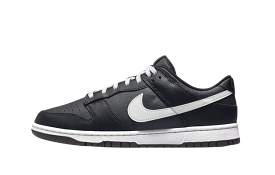 Nike Dunk Low Black White (2022)