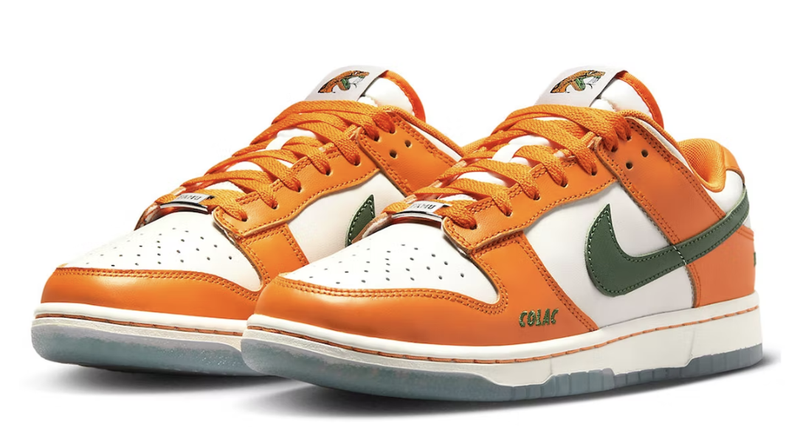 Nike Dunk Low Florida A&M University